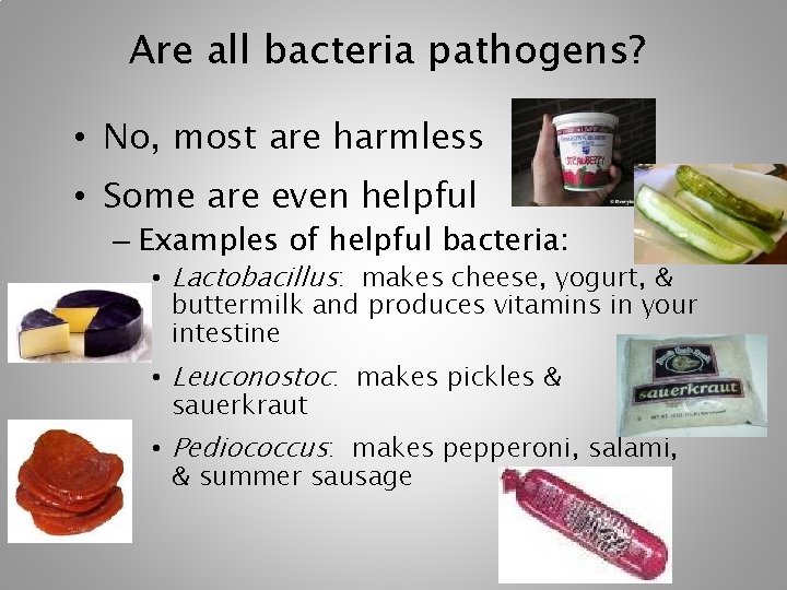 Are all bacteria pathogens? • No, most are harmless • Some are even helpful Are all bacteria pathogens? • No, most are harmless • Some are even helpful