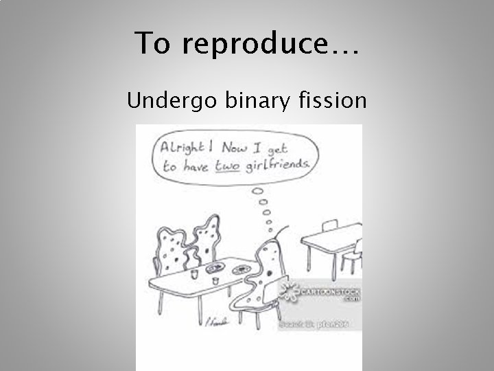 To reproduce… Undergo binary fission To reproduce… Undergo binary fission
