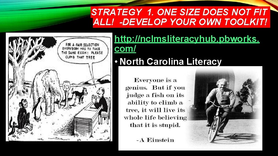 STRATEGY 1. ONE SIZE DOES NOT FIT ALL! -DEVELOP YOUR OWN TOOLKIT! http: //nclmsliteracyhub.