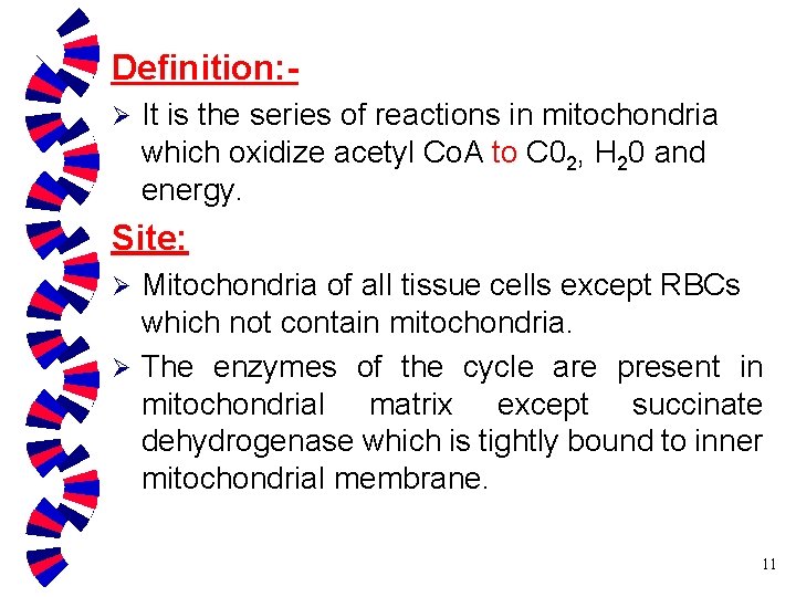 Definition: Ø It is the series of reactions in mitochondria which oxidize acetyl Co.