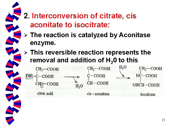 2. Interconversion of citrate, cis aconitate to isocitrate: The reaction is catalyzed by Aconitase