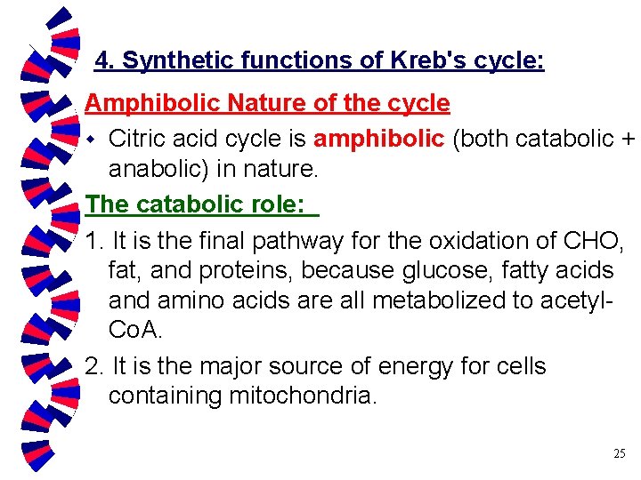 4. Synthetic functions of Kreb's cycle: Amphibolic Nature of the cycle w Citric acid