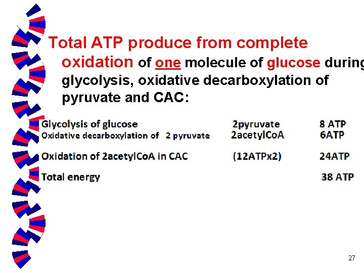 Total ATP produce from complete oxidation of one molecule of glucose during glycolysis, oxidative