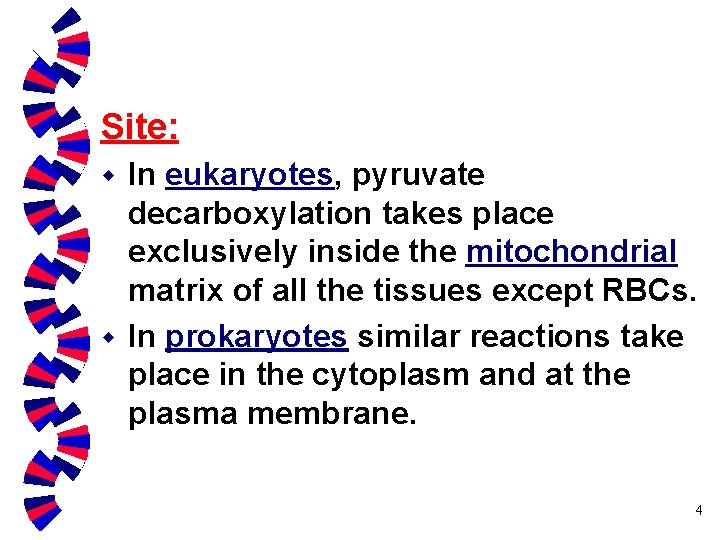 Site: In eukaryotes, pyruvate decarboxylation takes place exclusively inside the mitochondrial matrix of all