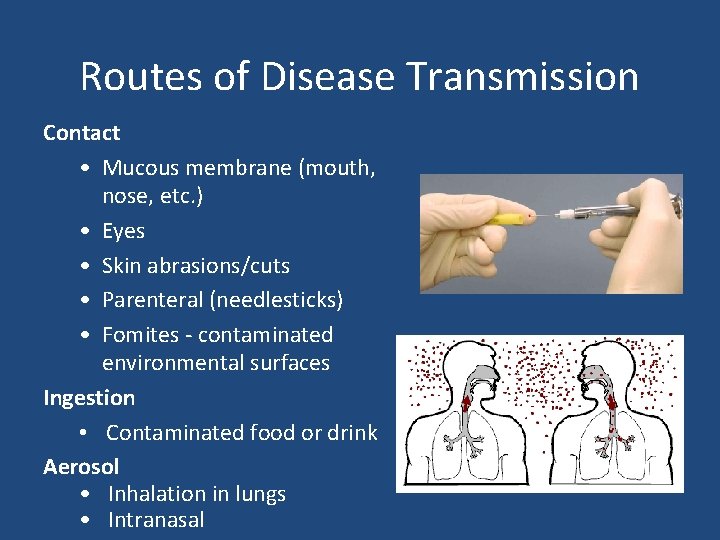 Routes of Disease Transmission Contact • Mucous membrane (mouth, nose, etc. ) • Eyes