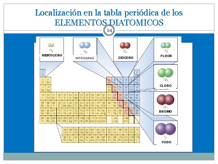 Localización en la tabla periódica de los ELEMENTOS DIATOMICOS 24 HIDROGENO NITROGENO OXIGENO FLUOR