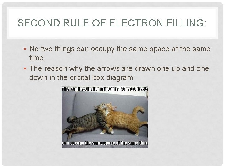 SECOND RULE OF ELECTRON FILLING: • No two things can occupy the same space