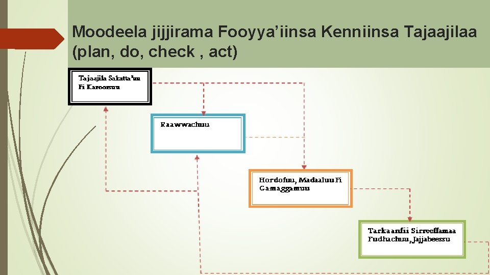 Moodeela jijjirama Fooyya’iinsa Kenniinsa Tajaajilaa (plan, do, check , act) 