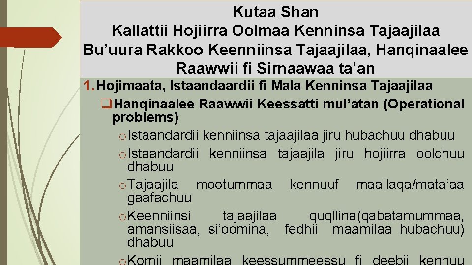 Kutaa Shan Kallattii Hojiirra Oolmaa Kenninsa Tajaajilaa Bu’uura Rakkoo Keenniinsa Tajaajilaa, Hanqinaalee Raawwii fi