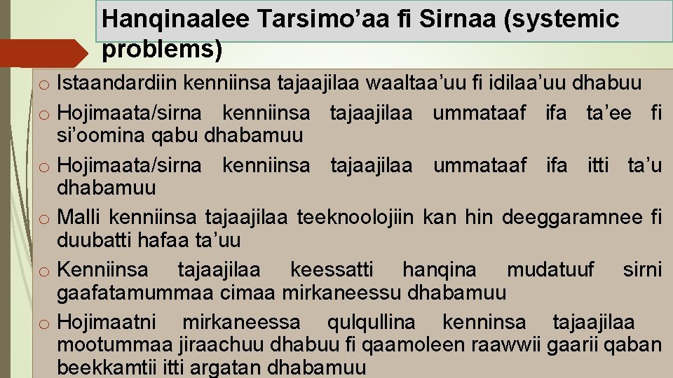 Hanqinaalee Tarsimo’aa fi Sirnaa (systemic problems) o Istaandardiin kenniinsa tajaajilaa waaltaa’uu fi idilaa’uu dhabuu