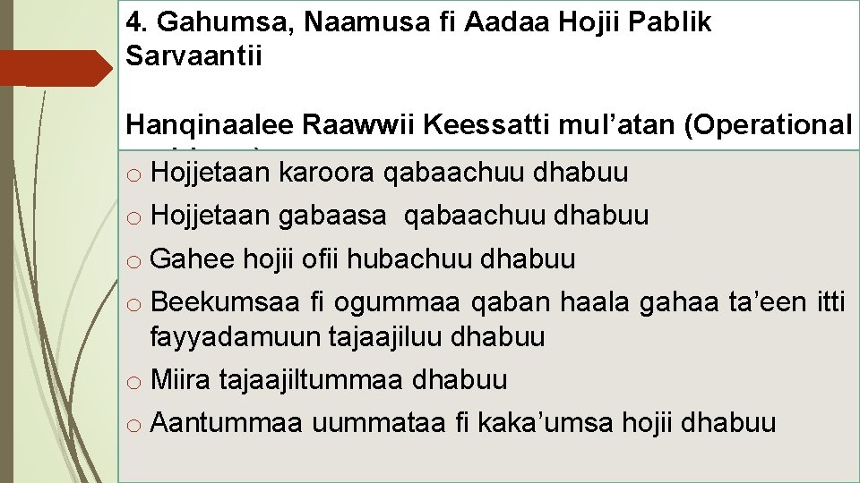 4. Gahumsa, Naamusa fi Aadaa Hojii Pablik Sarvaantii Hanqinaalee Raawwii Keessatti mul’atan (Operational problems)