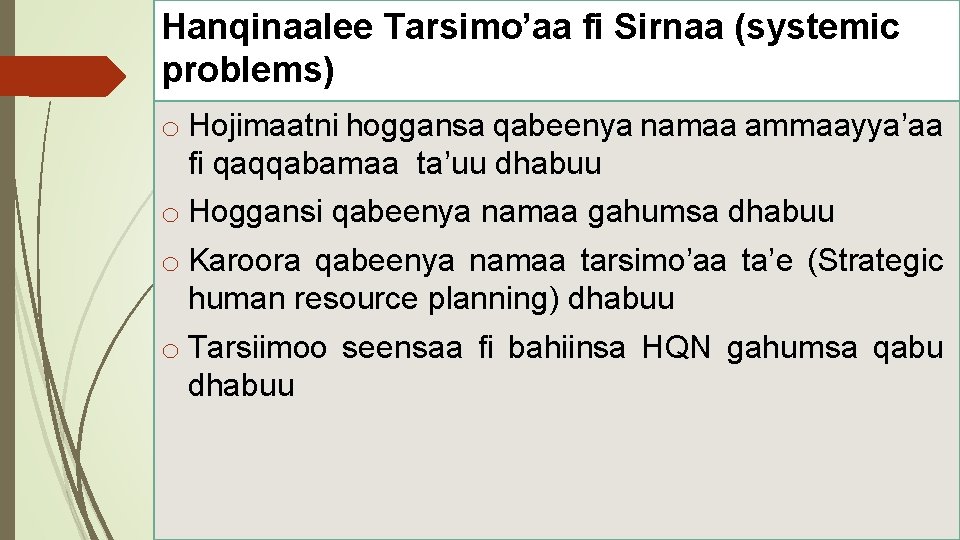 Hanqinaalee Tarsimo’aa fi Sirnaa (systemic problems) o Hojimaatni hoggansa qabeenya namaa ammaayya’aa fi qaqqabamaa