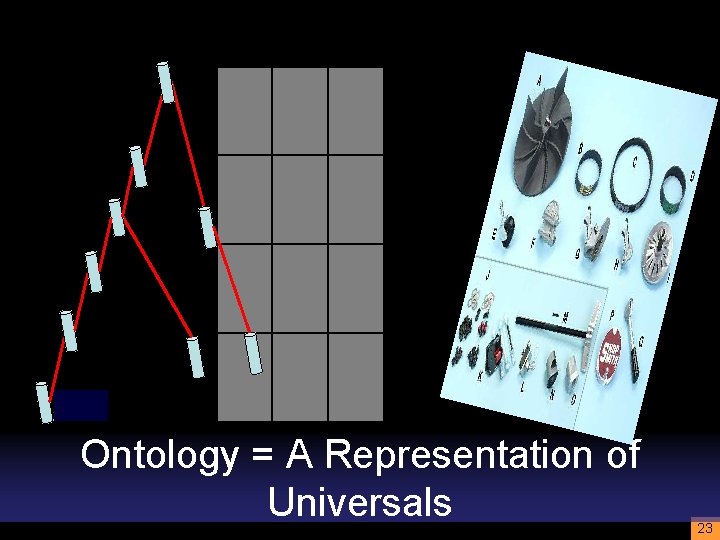 Ontology = A Representation of Universals 23 