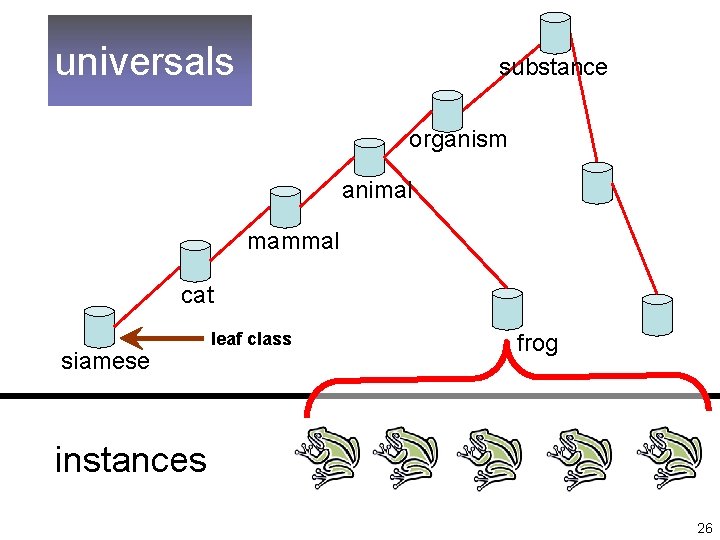 universals substance organism animal mammal cat siamese leaf class frog instances 26 