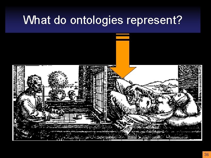 What do ontologies represent? 36 