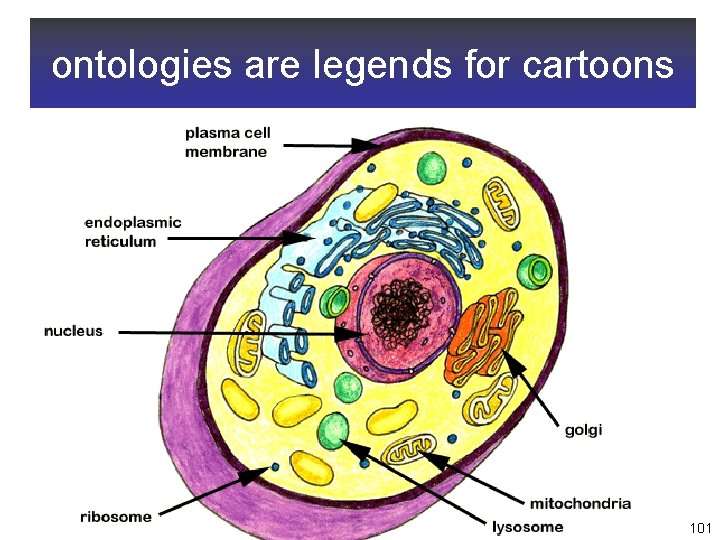 ontologies are legends for cartoons 101 