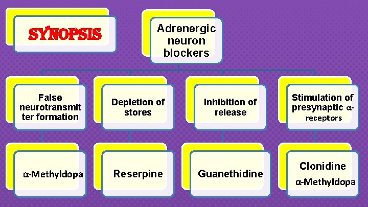 synopsis Adrenergic neuron blockers False neurotransmit ter formation Depletion of stores Inhibition of release