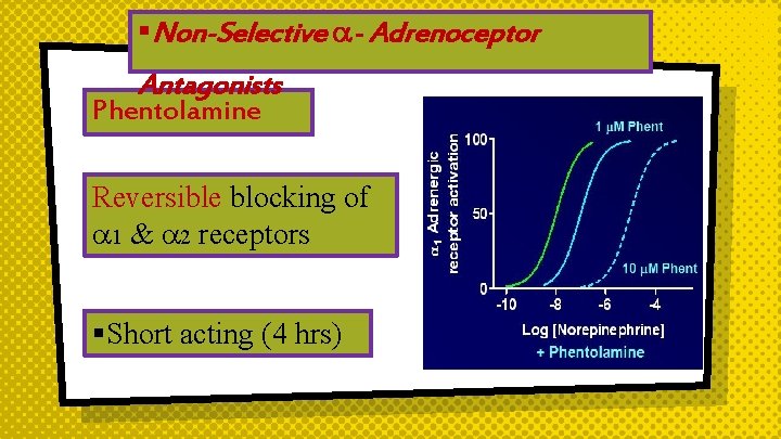 §Non-Selective - Adrenoceptor Antagonists Phentolamine Reversible blocking of 1 & 2 receptors §Short acting
