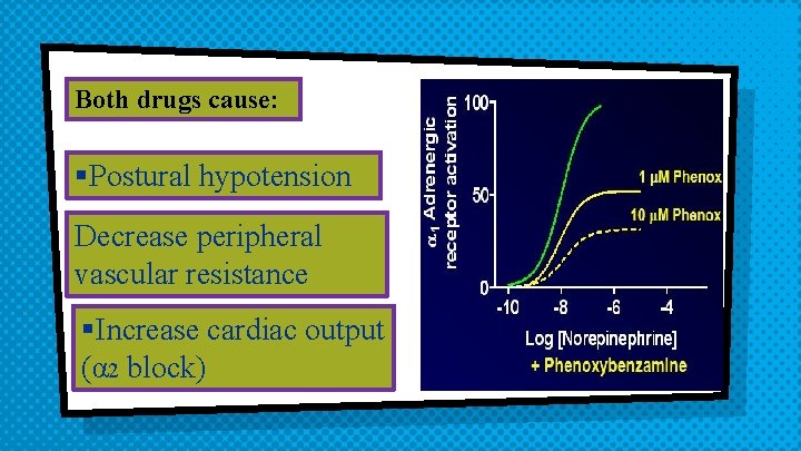 Both drugs cause: §Postural hypotension Decrease peripheral vascular resistance §Increase cardiac output (α 2