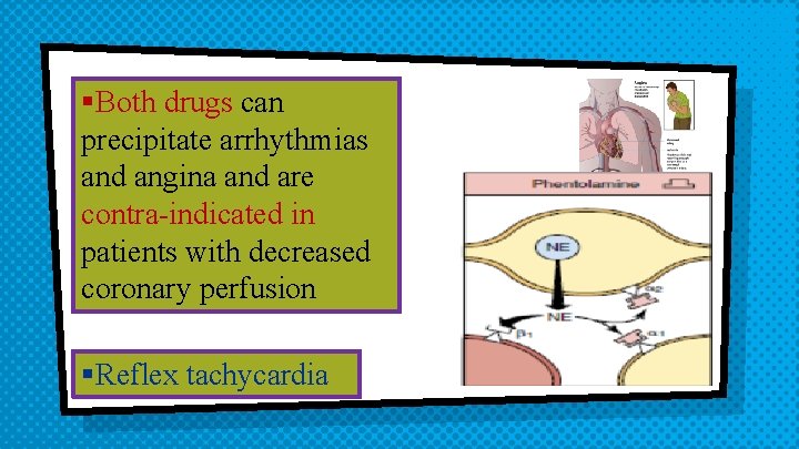 §Both drugs can precipitate arrhythmias and angina and are contra-indicated in patients with decreased