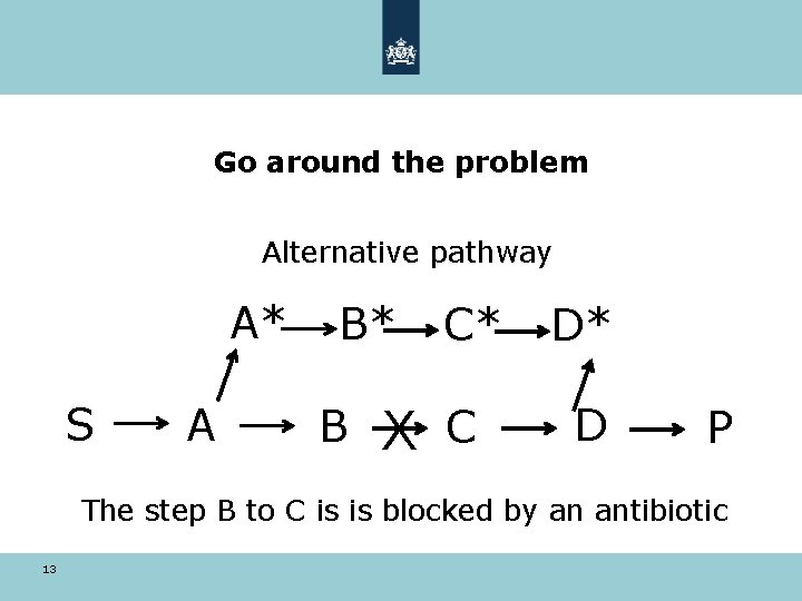 Go around the problem Alternative pathway A* S A B* B C* X C