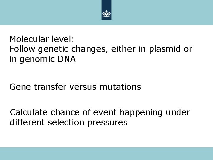 Molecular level: Follow genetic changes, either in plasmid or in genomic DNA Gene transfer