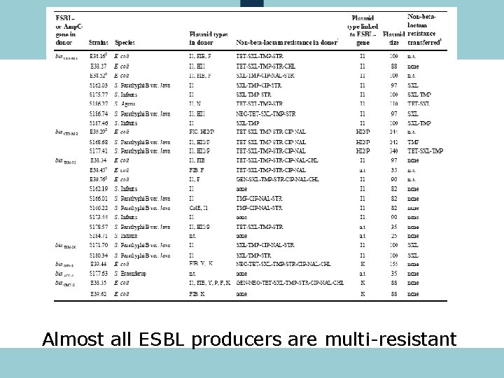 Almost all ESBL producers are multi-resistant 