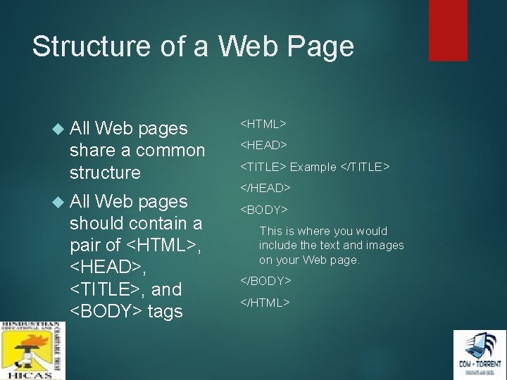 Structure of a Web Page All Web pages share a common structure All Web Structure of a Web Page All Web pages share a common structure All Web
