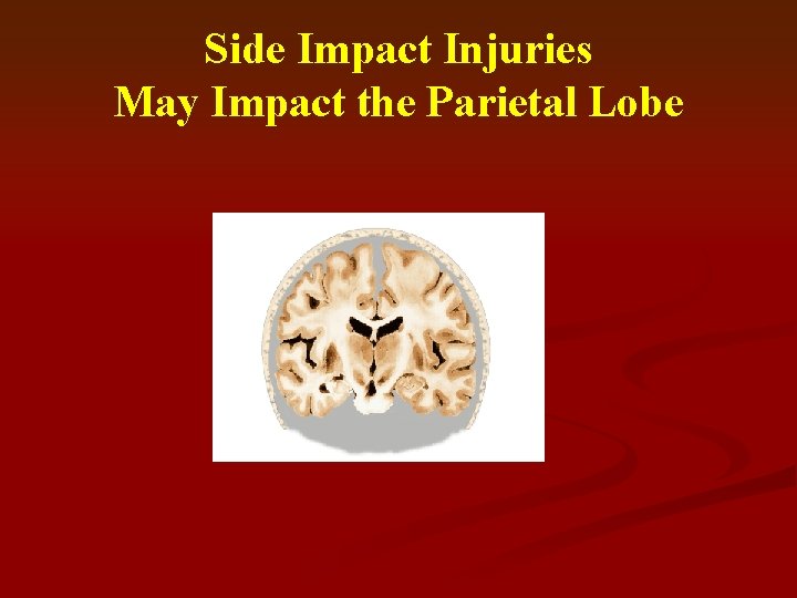 Side Impact Injuries May Impact the Parietal Lobe 