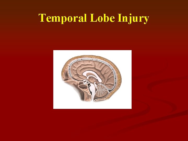 Temporal Lobe Injury 