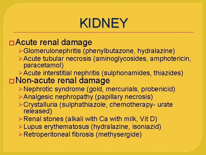 KIDNEY � Acute renal damage ØGlomerulonephritis (phenylbutazone, hydralazine) ØAcute tubular necrosis (aminoglycosides, amphotericin, paracetamol)