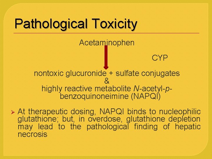 Pathological Toxicity Acetaminophen CYP nontoxic glucuronide + sulfate conjugates & highly reactive metabolite N-acetyl-pbenzoquinoneimine