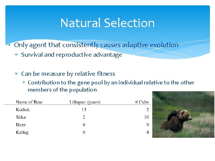 Natural Selection Only agent that consistently causes adaptive evolution Survival and reproductive advantage Can