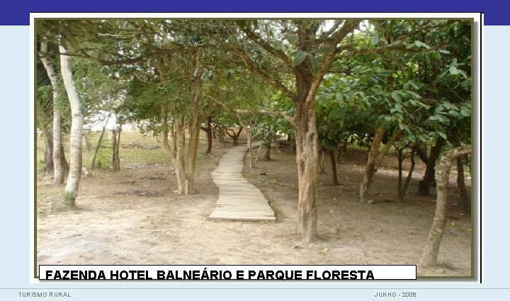 FAZENDA HOTEL BALNEÁRIO E PARQUE FLORESTA TURISMO RURAL JUNHO - 2008 