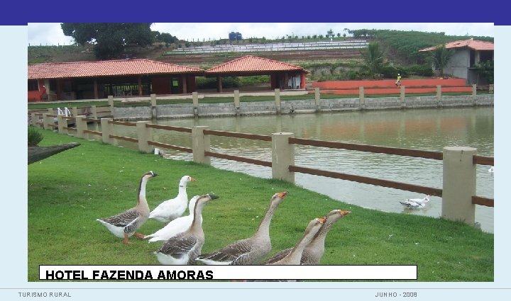 HOTEL FAZENDA AMORAS TURISMO RURAL JUNHO - 2008 