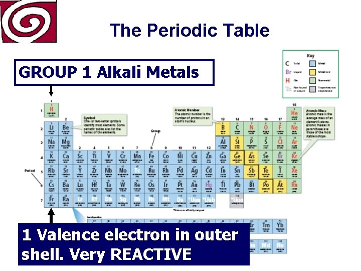 The Periodic Table GROUP 1 Alkali Metals 1 Valence electron in outer shell. Very