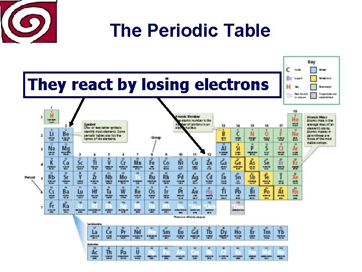 The Periodic Table They react by losing electrons 
