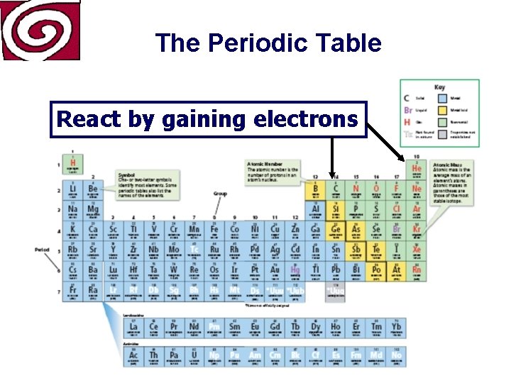 The Periodic Table React by gaining electrons 