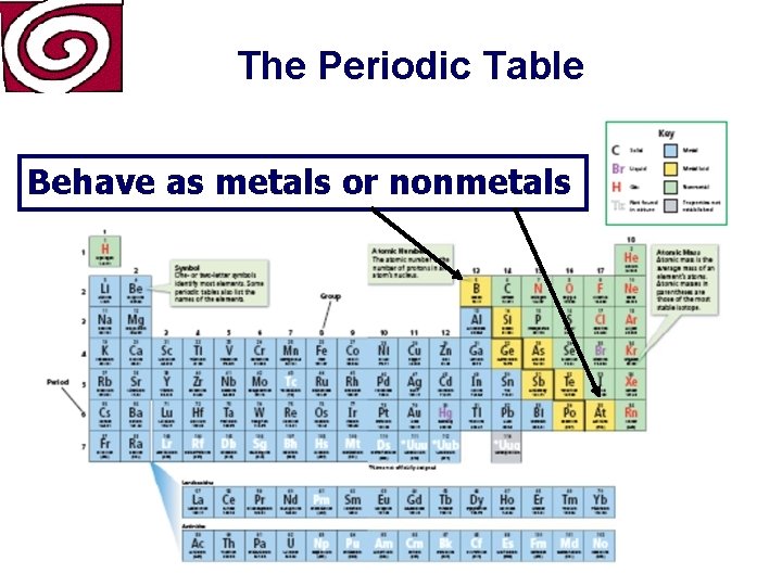 The Periodic Table Behave as metals or nonmetals 
