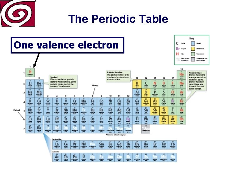 The Periodic Table One valence electron 