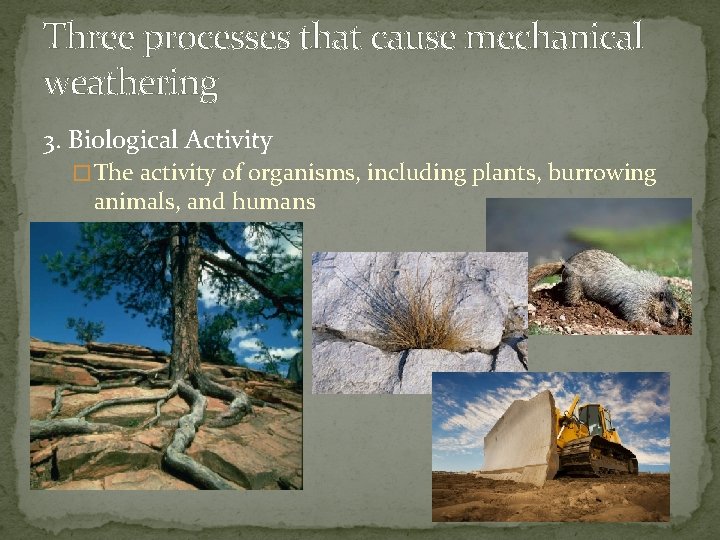 Weathering Weathering the breaking down and changing of