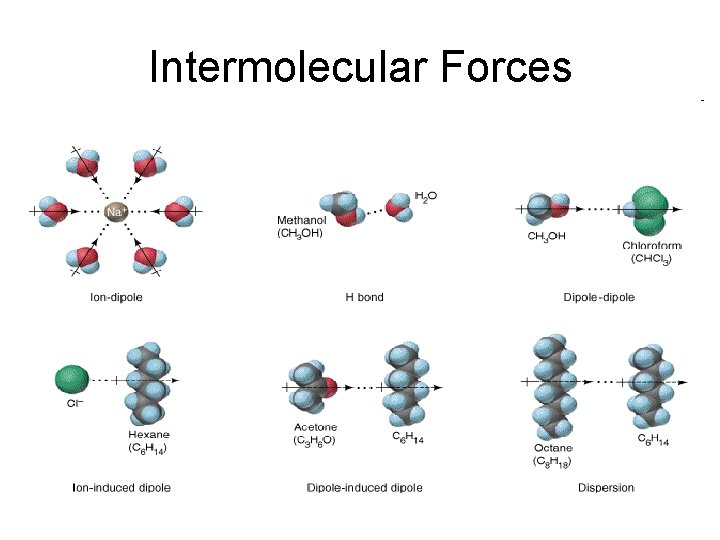 Intermolecular Forces 