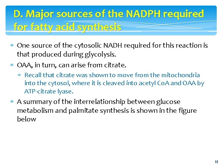 D. Major sources of the NADPH required for fatty acid synthesis One source of