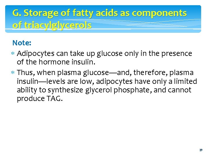 G. Storage of fatty acids as components of triacylglycerols Note: Adipocytes can take up