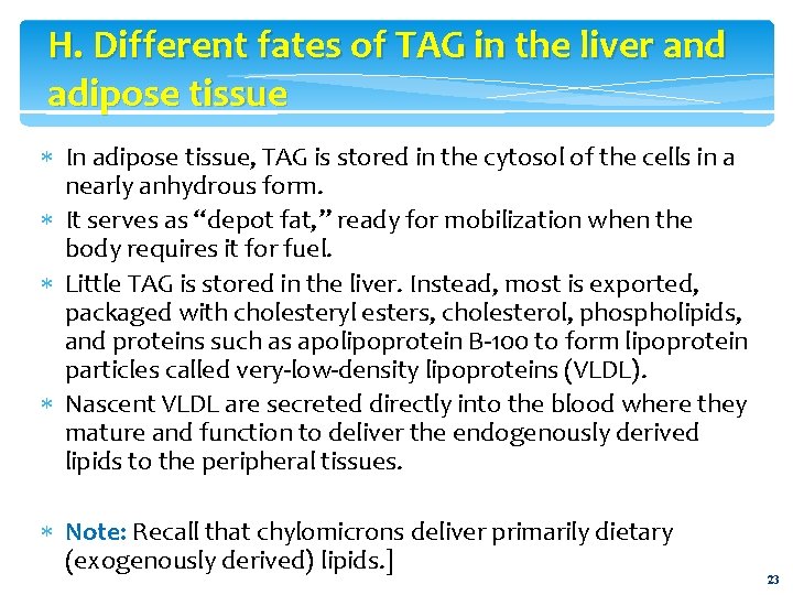 H. Different fates of TAG in the liver and adipose tissue In adipose tissue,