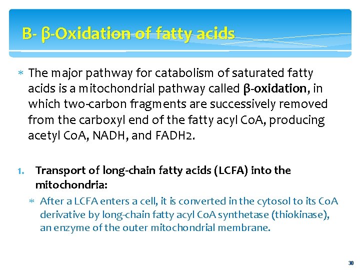 B- β-Oxidation of fatty acids The major pathway for catabolism of saturated fatty acids