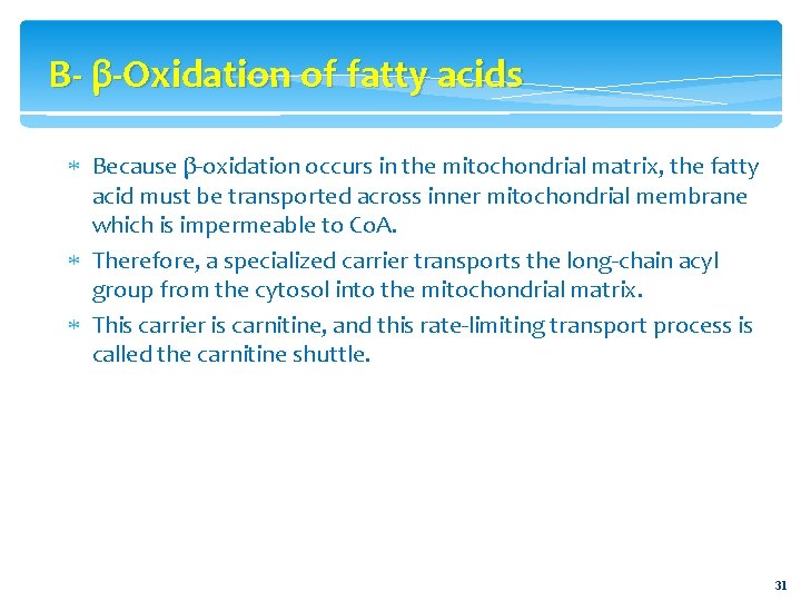 B- β-Oxidation of fatty acids Because β-oxidation occurs in the mitochondrial matrix, the fatty