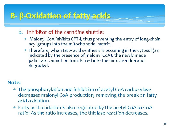 B- β-Oxidation of fatty acids b. Inhibitor of the carnitine shuttle: Malonyl Co. A