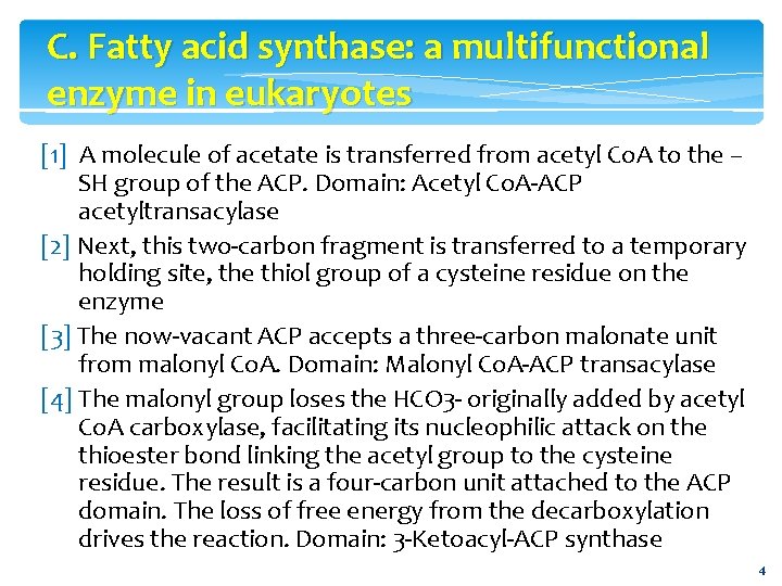 C. Fatty acid synthase: a multifunctional enzyme in eukaryotes [1] A molecule of acetate