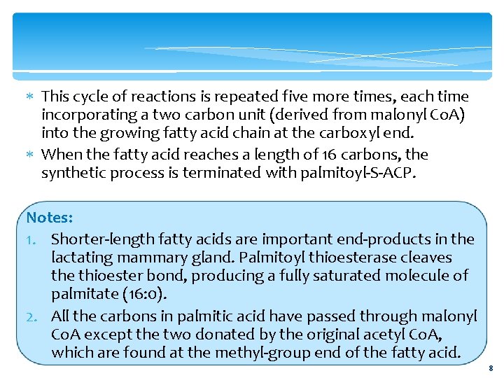  This cycle of reactions is repeated five more times, each time incorporating a